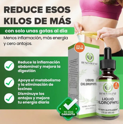 Clorofila Liquido Gotero - Ecutienda.store