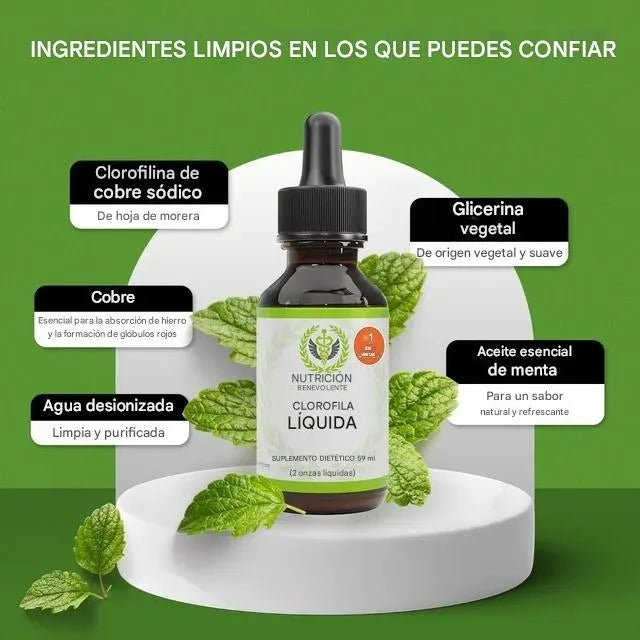Clorofila Liquido Gotero - Ecutienda.store