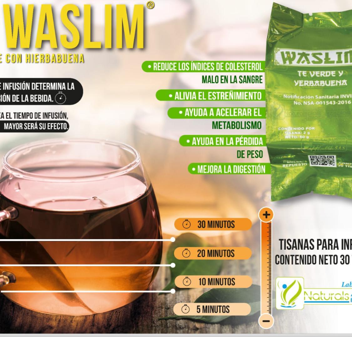 Te WASLIM° Te Verde y Hierbabuena - Ecutienda.store